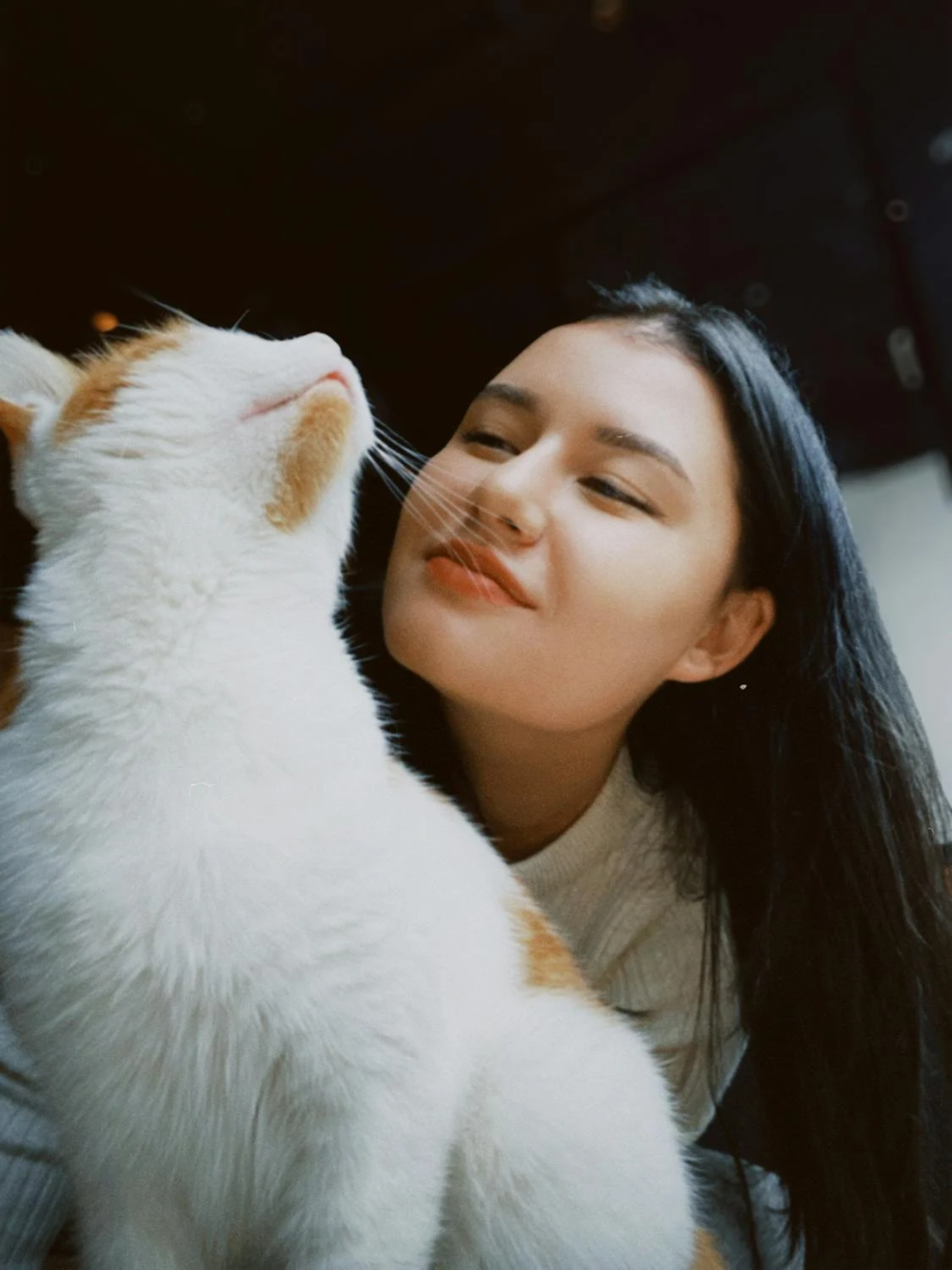 Portrait of Brunette Woman Holding a White Cat
